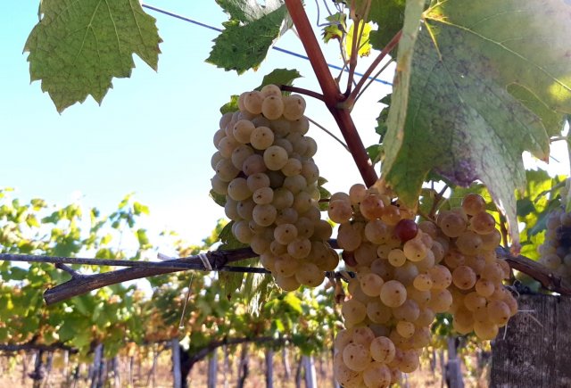 16db613e-f681-4336-8f39-b6f11668b6a7