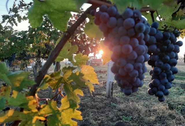 79a063a1-8e42-4730-bfa9-e0657f2cdbf9