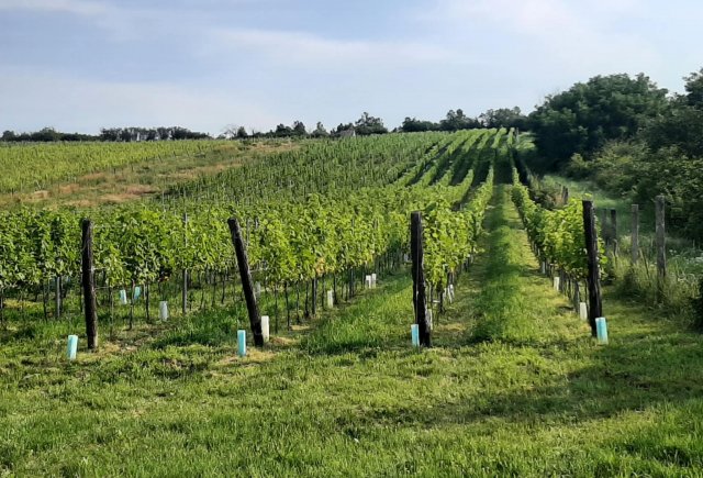 bb5138ab-ecea-43c2-b110-3f82480e1b14