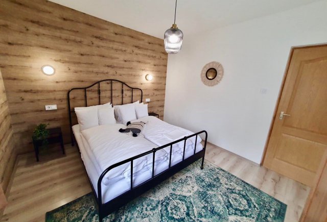 286444197_1225533838209256_7265918103721723770_n